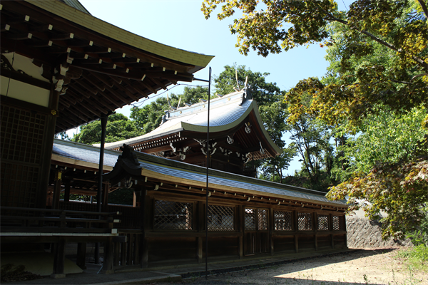 網野神社本殿
